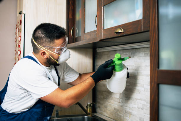 Pest Control Cost in Great Neck Plaza, NY
