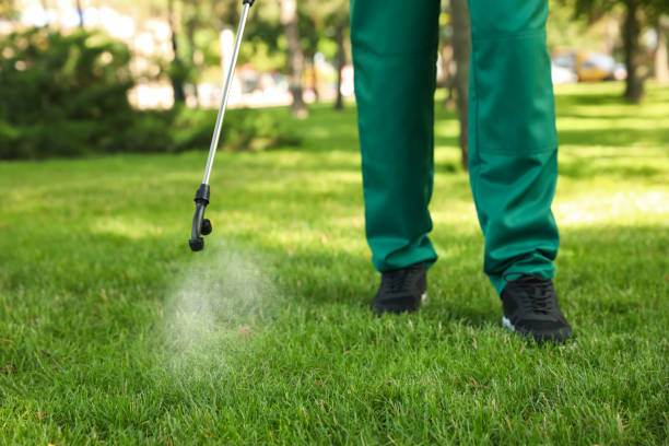 Best Pest Prevention Services  in Great Neck Plaza, NY