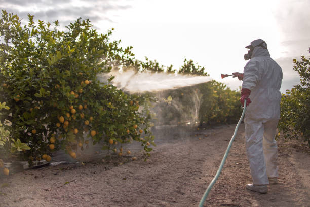 Best Mosquito Control Services  in Great Neck Plaza, NY