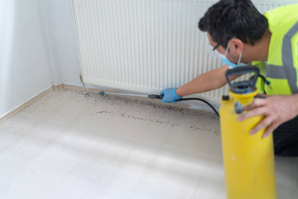 Best Local Pest Control Services  in Great Neck Plaza, NY